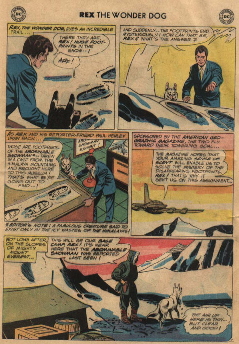 Read online The Adventures of Rex the Wonder Dog comic -  Issue #42 - 26