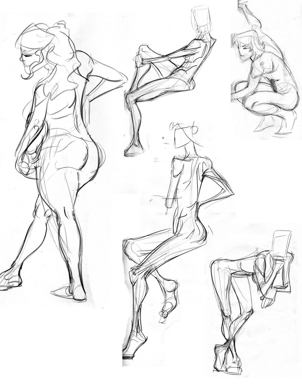 Animal Drawing Sketches Poses for Adult