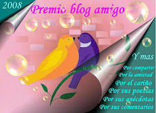 Premio Blog Amigo 2008