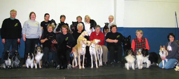 Welcome to Hub City Kennel and Obedience Club