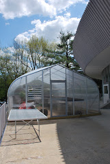 The Greenhouse!