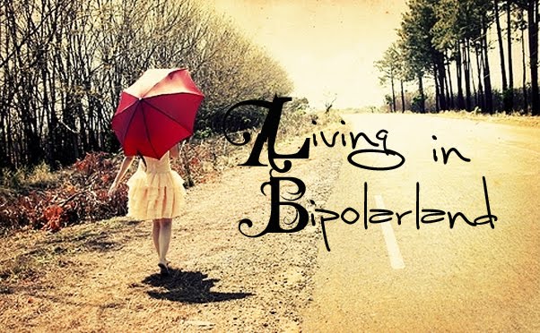 Life In Bipolarland