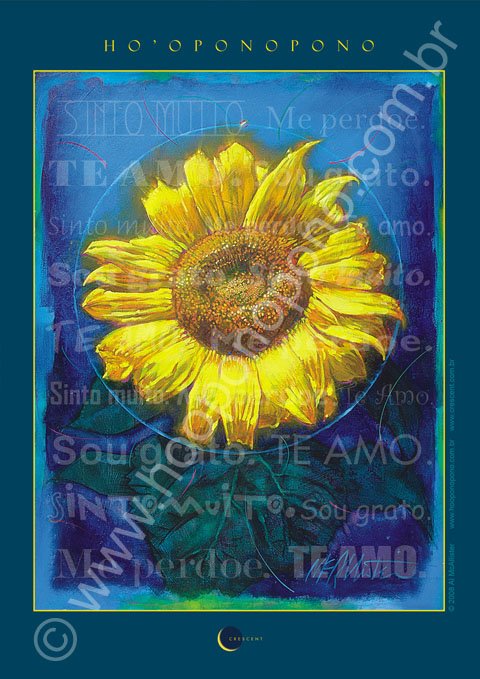 [GirassolImagemMaior.jpg]