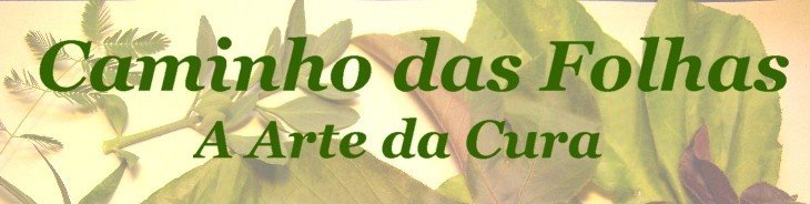 [CIMG1303%20rev4.jpg]