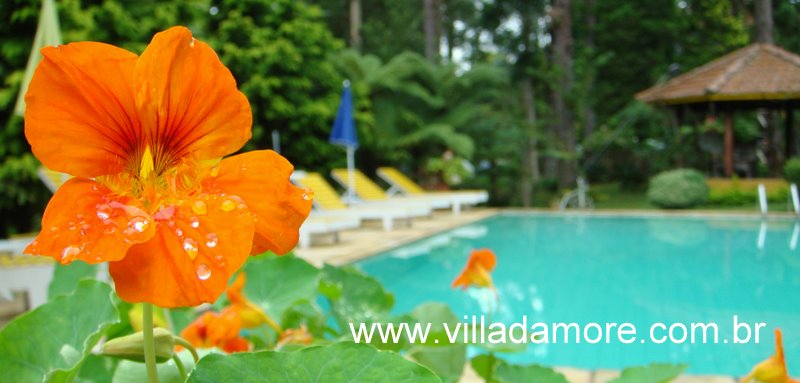 [foto%20teste%20pisc.jpg]