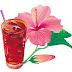 Infusión afrodisiaca de Flor de Jamaica (hibiscus, KarKadé, rosa de china)