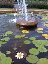 Memphis Botanical Garden