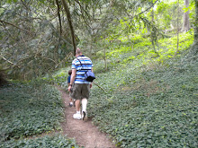 Path in the woods near the Biltmore