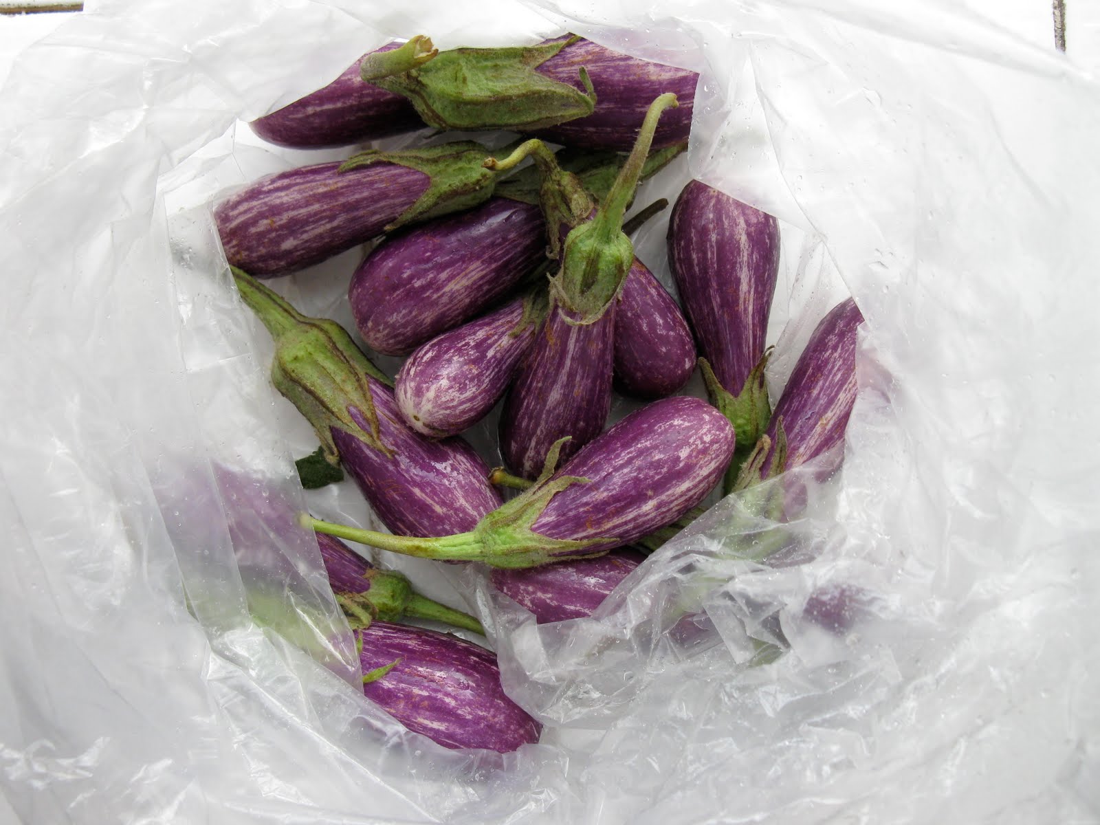 Cook Without a Kitchen Fairytale Eggplant with Summer Squash