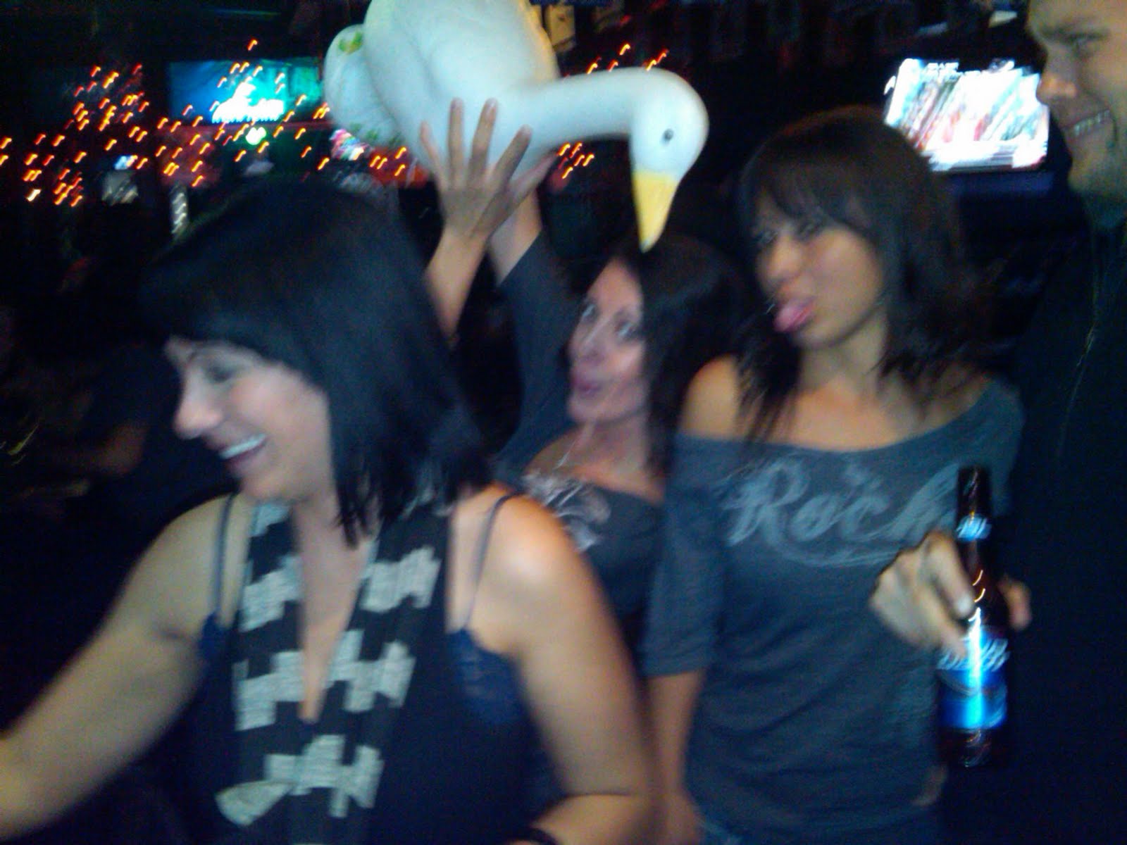 Runaway Goose The Goose Parties In The Ghetto Chino, CA