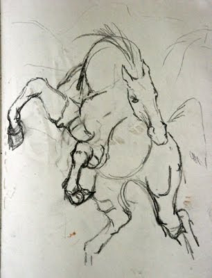 equine sketch