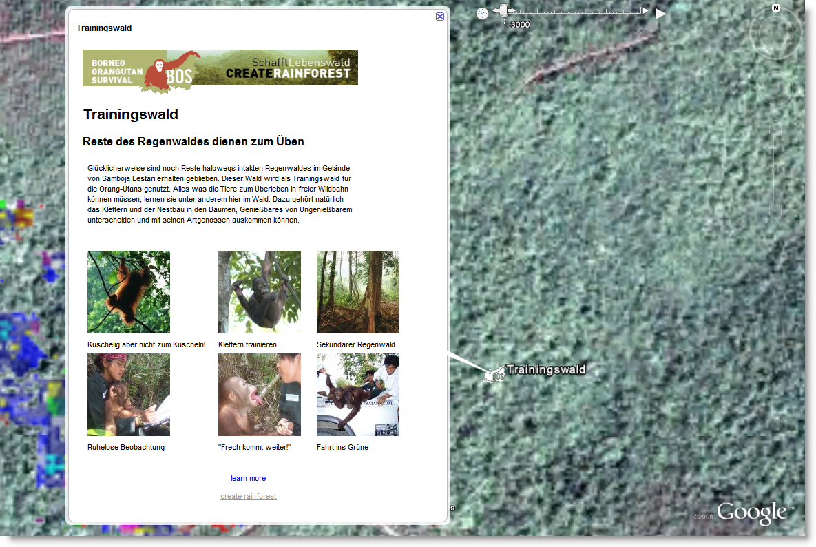 [Orang+Utan+Drei.PNG]