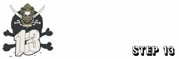 step13