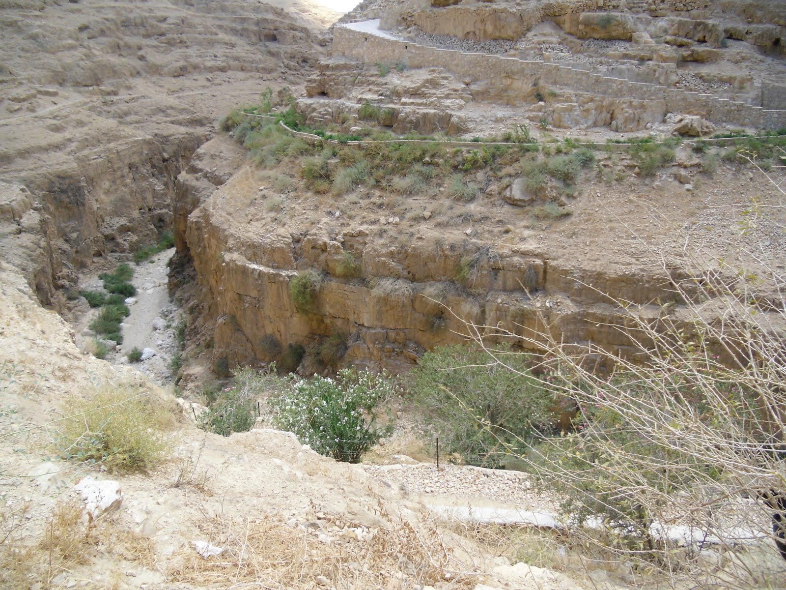 Partake in my Pilgrimage: View of the Wadi Qelt