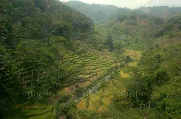 [BANDUND+COUNTRYSIDE+3+-+copyrights+Eki+Akhwan.jpg]