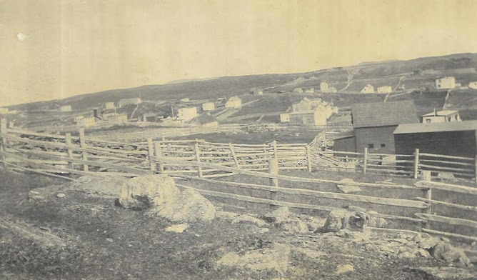 ANOTHER NIC PIC SHOWING THE GARDENS AND FENCING .HOUSES