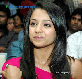 Actress Trisha Pictures with LOUIS VUITTON Hand Bag 
