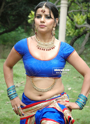 HOT INDIAN ACTRESS BLOG: MASALA DESI Actress Madhu Sharma Hot Pictures