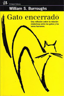 gato_encerrado.jpg