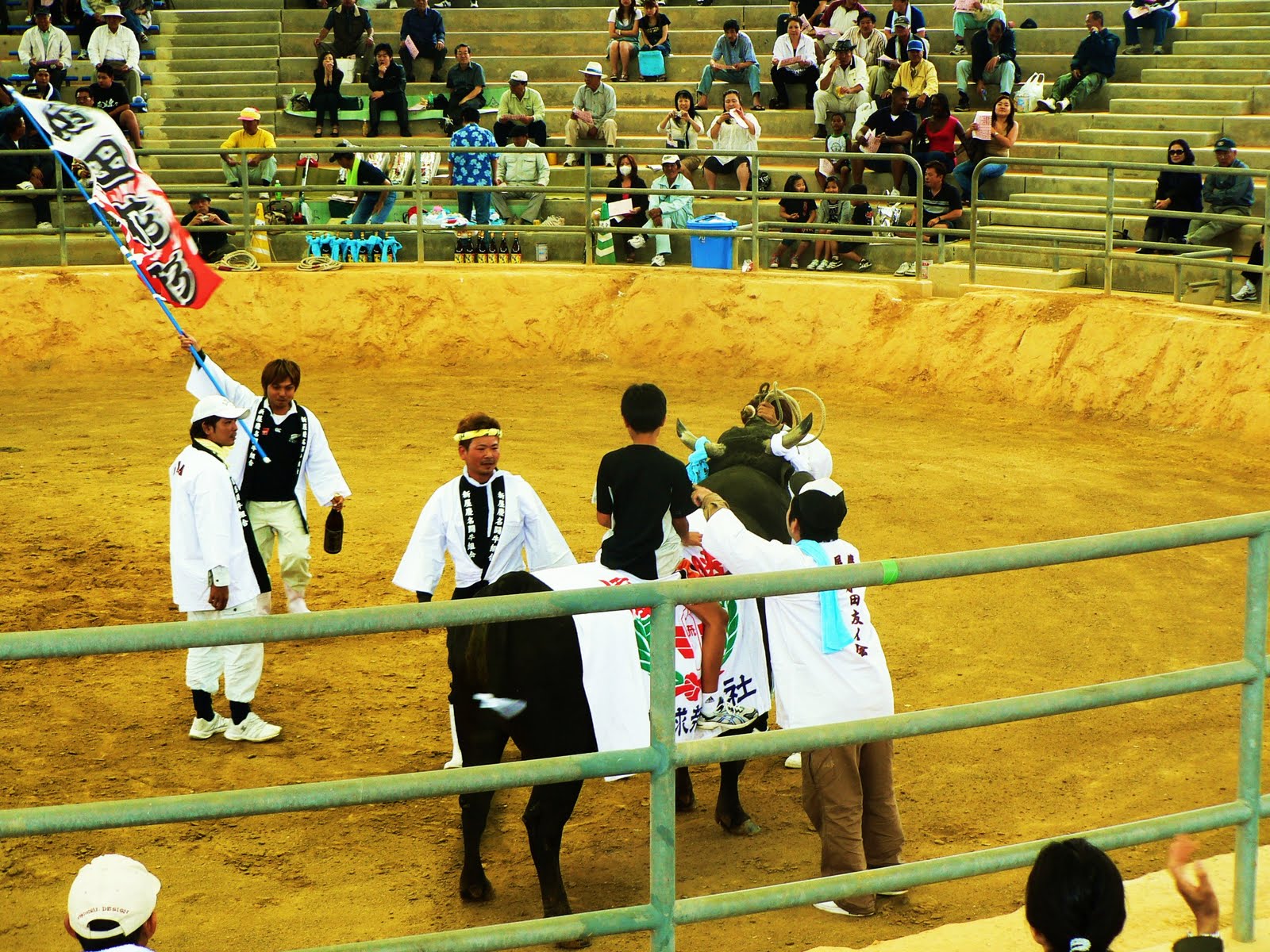 Okinawa 365: Our first Bullfight!