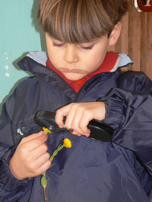 [snipshot_d4c4gu72vie.gif]