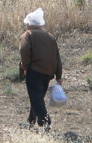 [snipshot_e49guuw160u.gif]