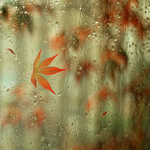 Amazing_Rain_Photography_12.jpg