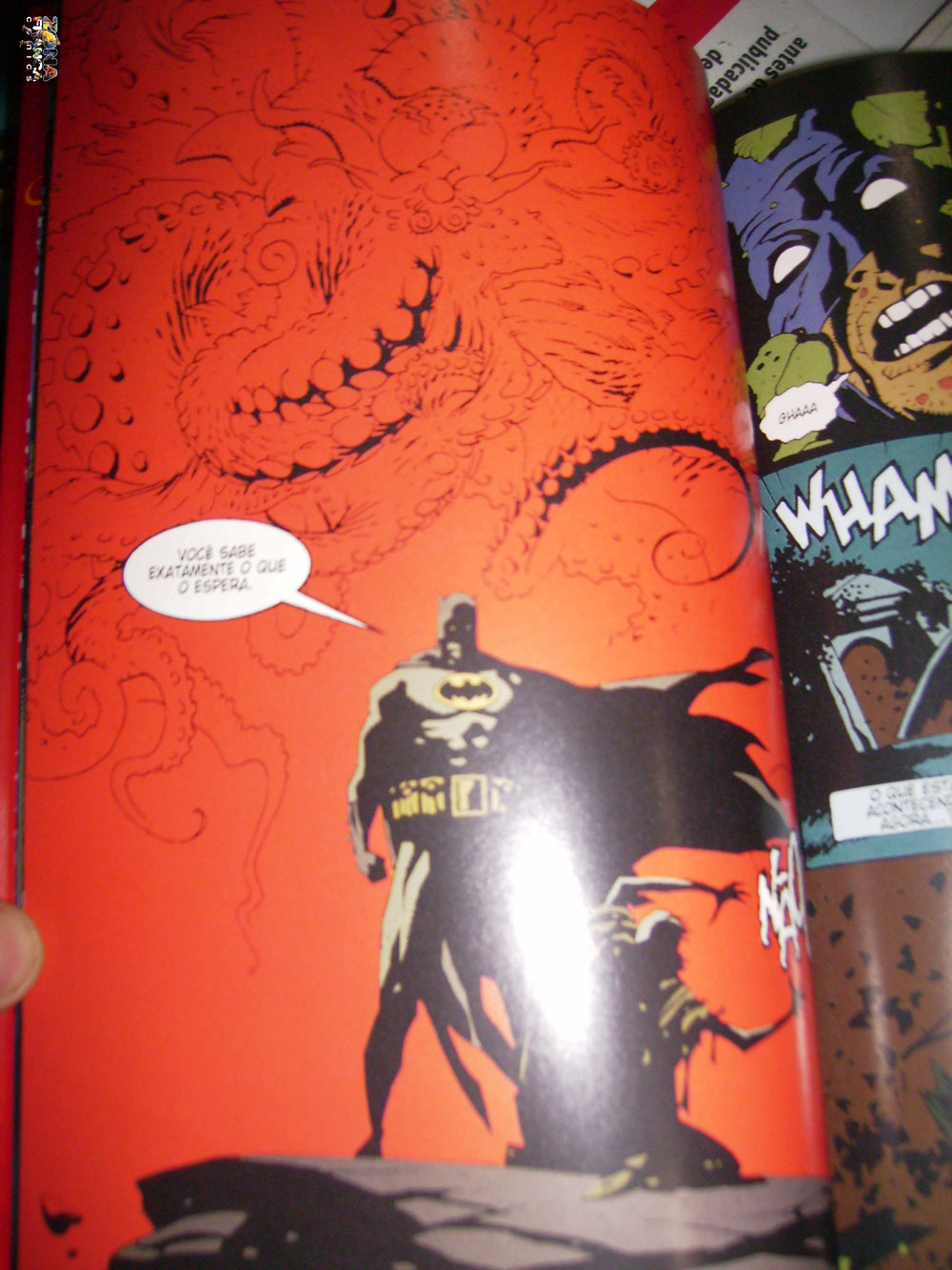 [batmanessencial4.jpg1.jpg]