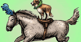 dog and pony cartoon