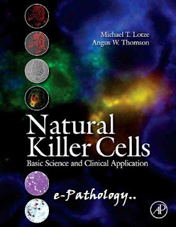 natural+Killer+Cells.jpg
