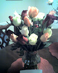 Roses Dan, Dawn and Jaylissa sent us yesterday