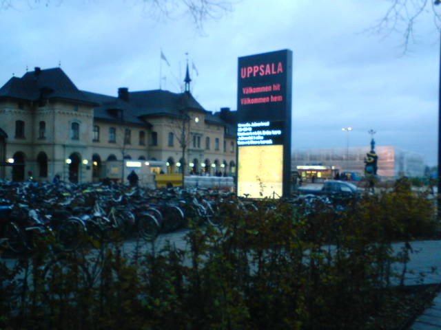 [DSC00506-745343.jpeg]