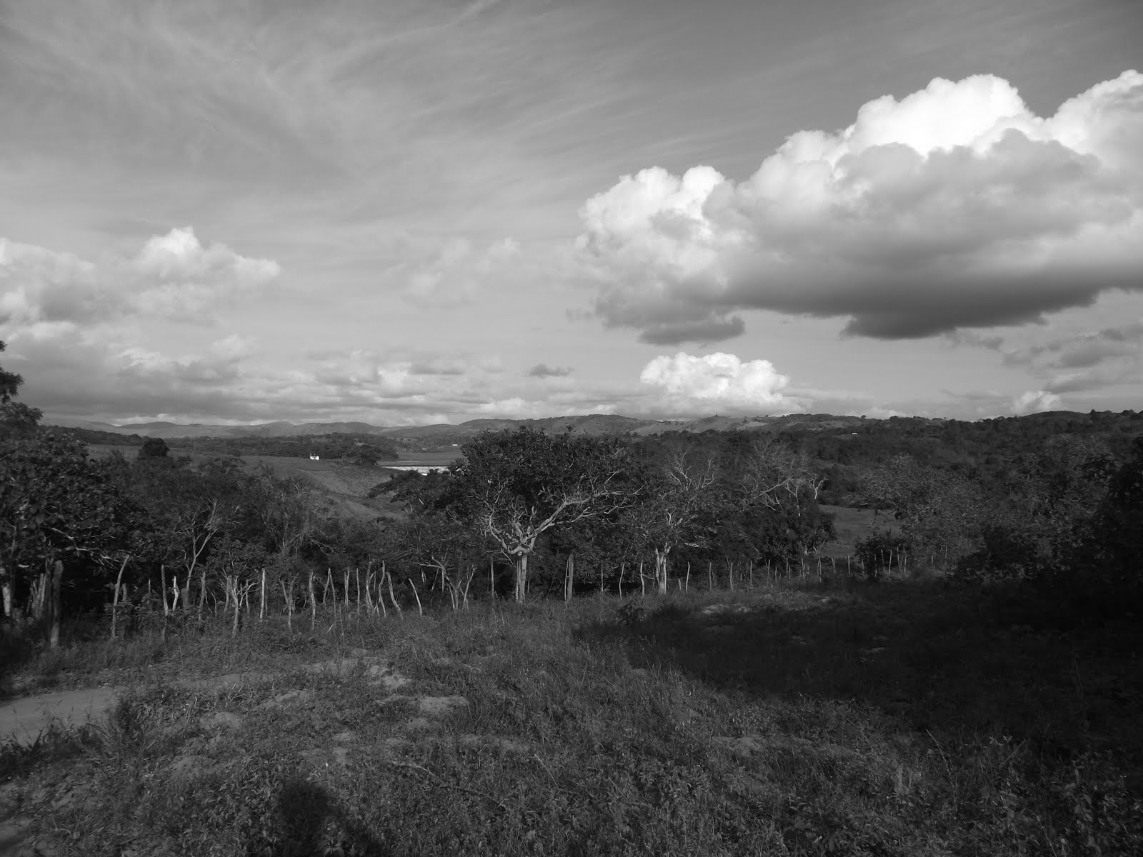 Objetiva Viva Agrestina PE. Brasil.