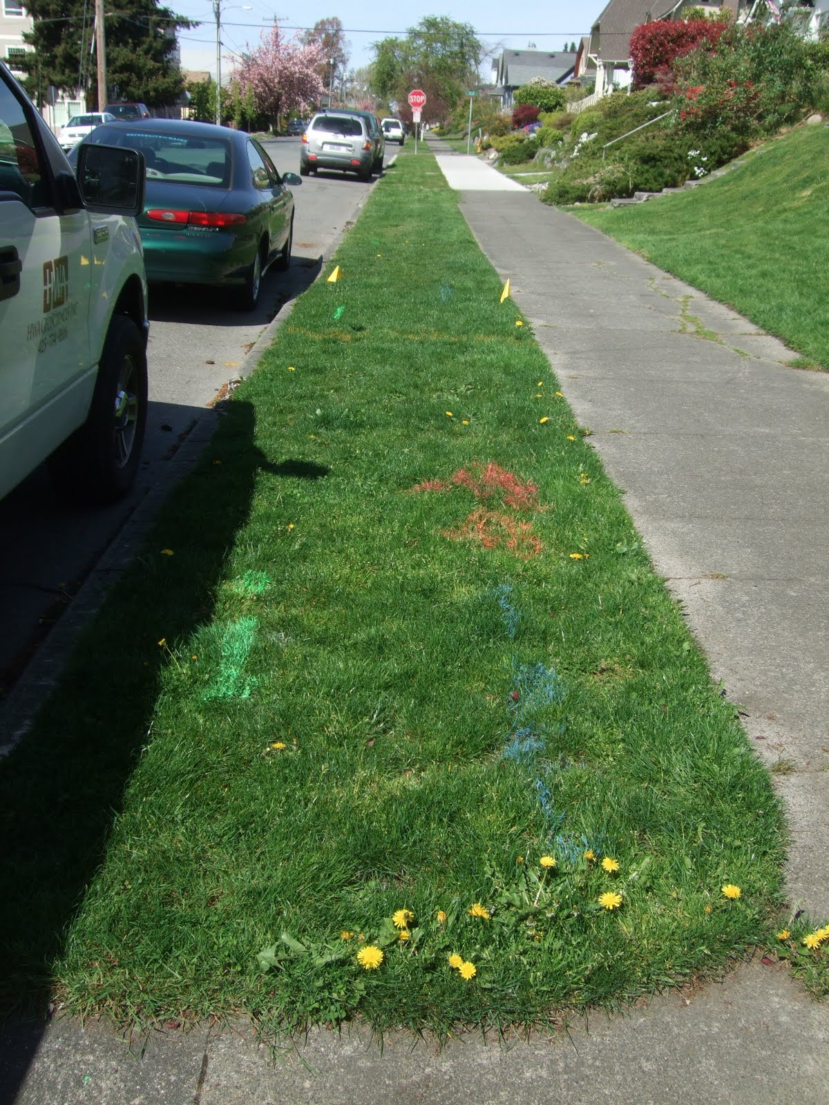 The Smiths: Front Yard Tree Planting - Not to Be!