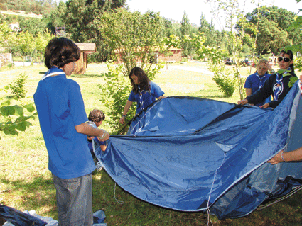 [pioneiros-blog2.gif]