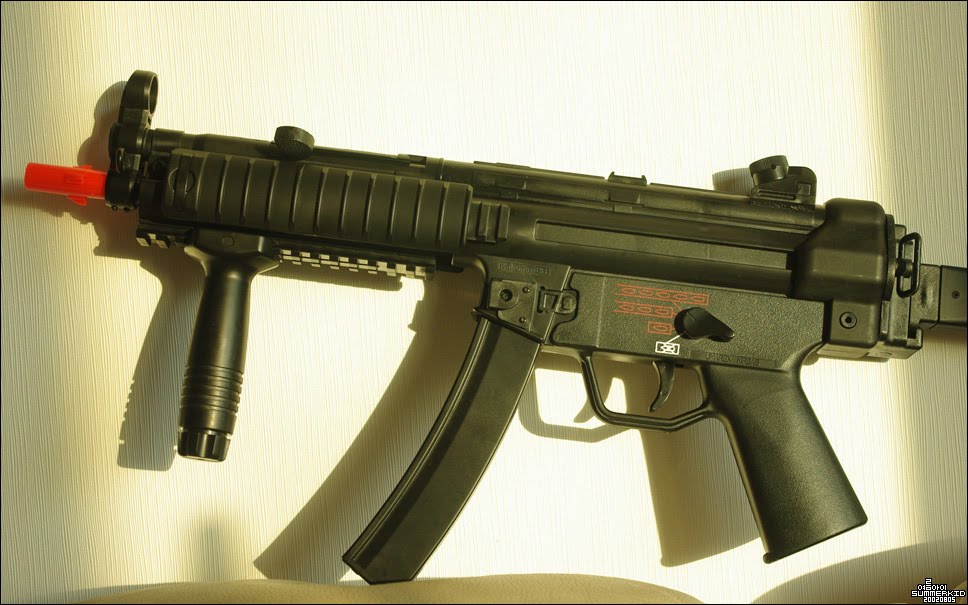 여름아이 SummerKid: mp5 ras (합동과학)