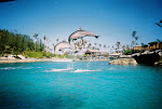 Bahamas Cruise