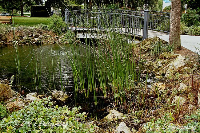 spanish springs villages florida spanish springs villages florida