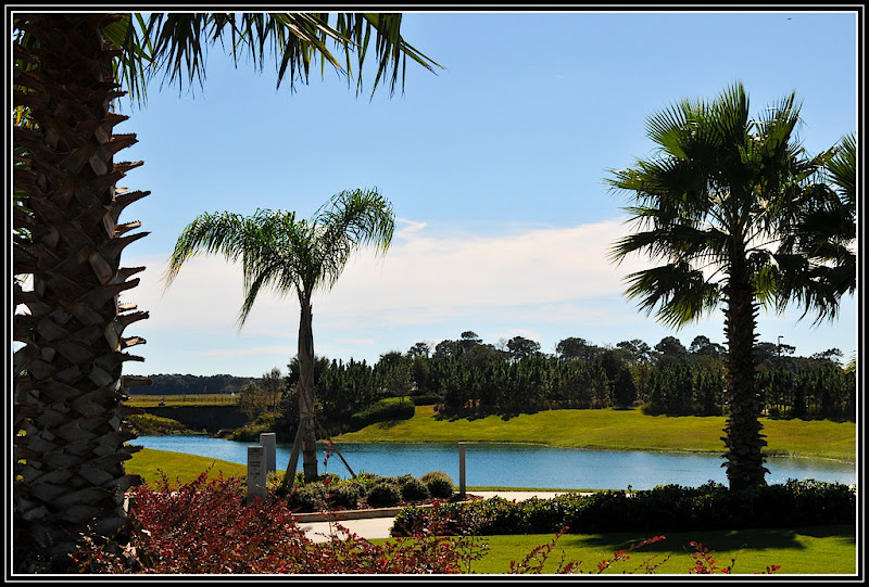 Ocala, Central Florida & Beyond A Stone Creek view