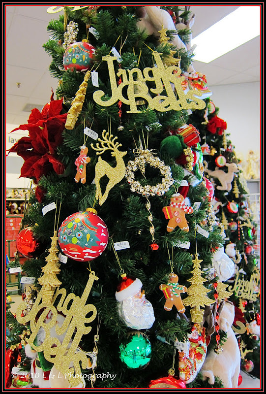 Ocala, Central Florida & Beyond Christmas trees in Ocala are ornamental...