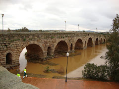 Puente Romano de Merida