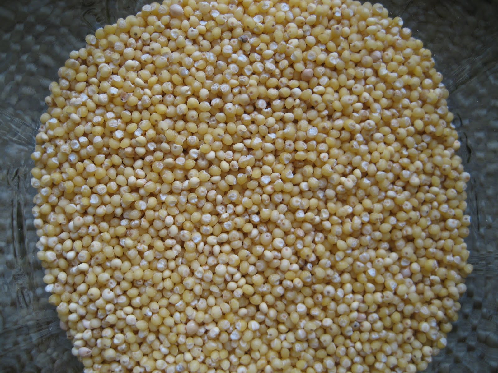 Perfectly Imperfect Ingredient Spotlight Millet