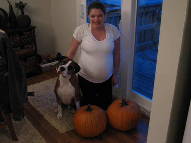 Bob (Bosco), Mom, and the 3 pumpkins!
