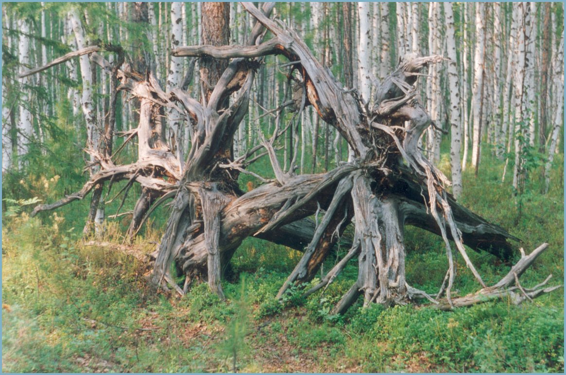 DE ELEMENTEN SiTU Harns Tunguska DE ELEMENTEN SiTU Harns Tunguska