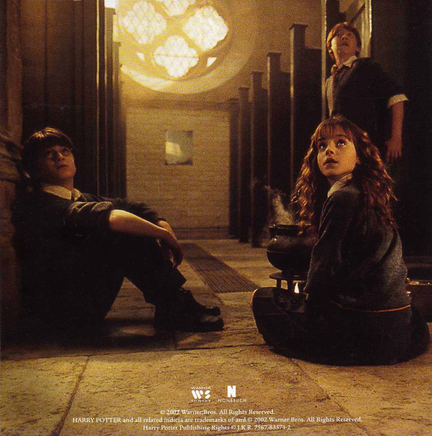 Ver Harry Potter Y La Camara De Los Secretos
