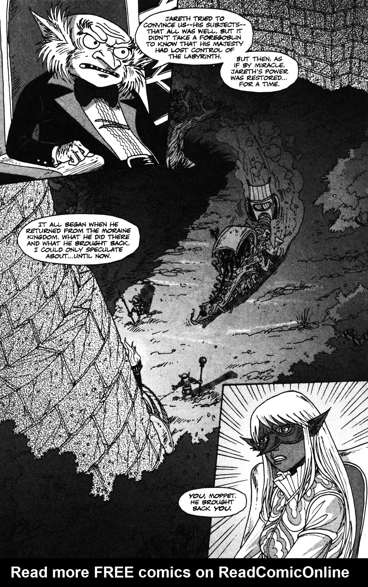 Read online Jim Henson's Return to Labyrinth comic -  Issue # Vol. 3 - 20