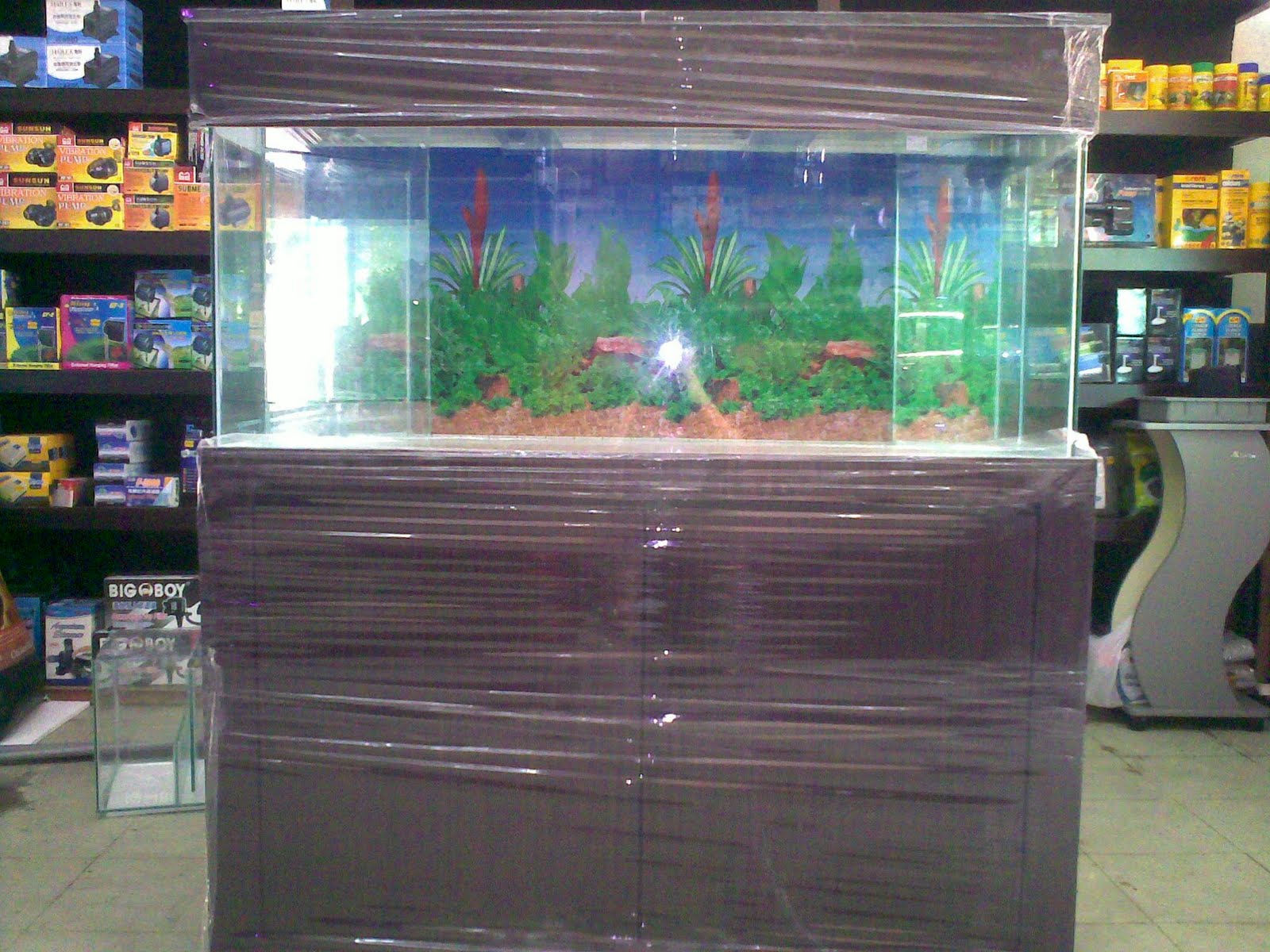 Atlantis Safari Malaysia 4feet aquarium