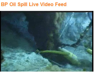 BP Oil Spill Feed Live