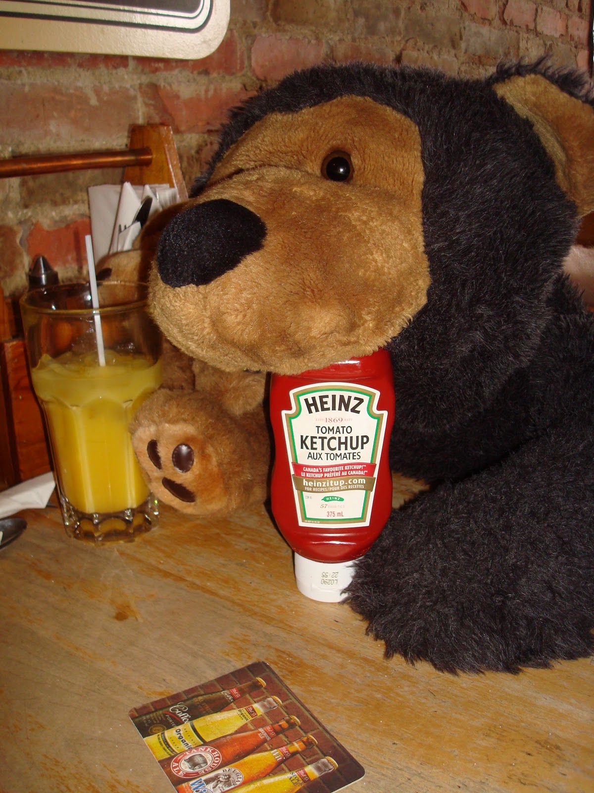 Adventures of Charles the Bear Cub Olde Sandwich Towne, Windsor, ON