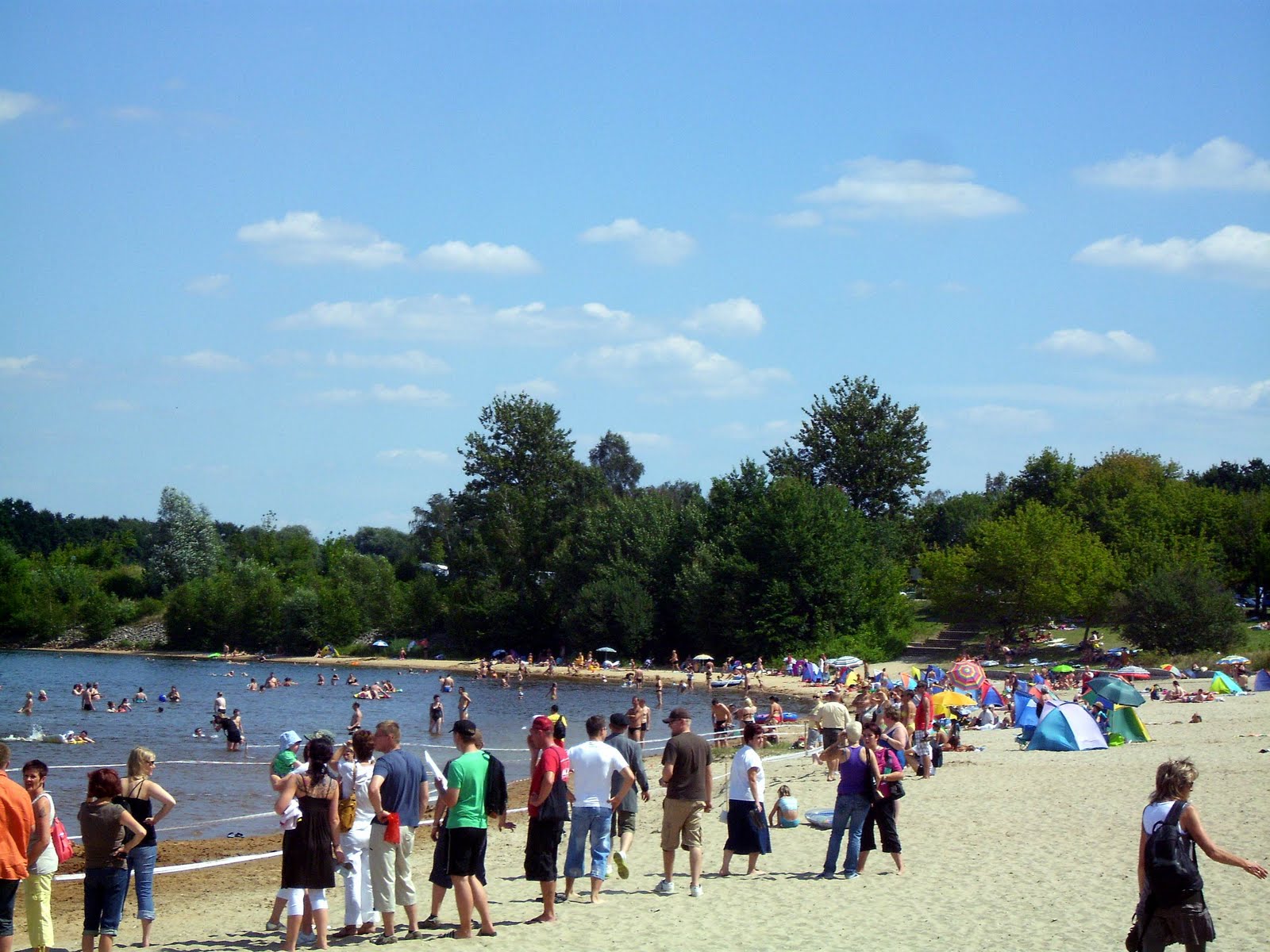 Dapema Online August 2008